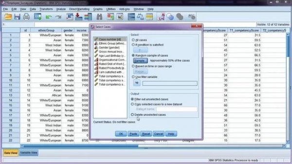 Select random sample of data using 'Select Cases' in SPSS