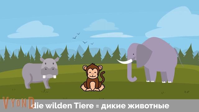 Hallo Zusammen! Учи немецкий легко по видео. Урок 16. Тема "Дикие животные/В зоопарке" смотреть онлайн