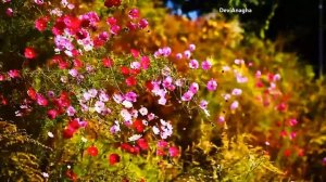 Медитативная музыка. Флейта Кришны. Позитивный отдых. Культурно-оздоровительная композиция. №3