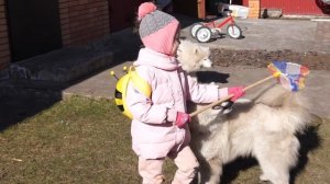 VLOG Нас ещё и затопить может. Спрятались в подвал, но ложная тревога. Украина. 25 февраля