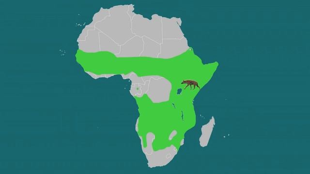 LEOPARD VS SPOTTED HYENA - Who Would Win? смотреть онлайн