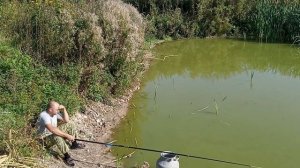 Рыбалка на домашнем пруду!!! (Fishing on the home pond!!!)
