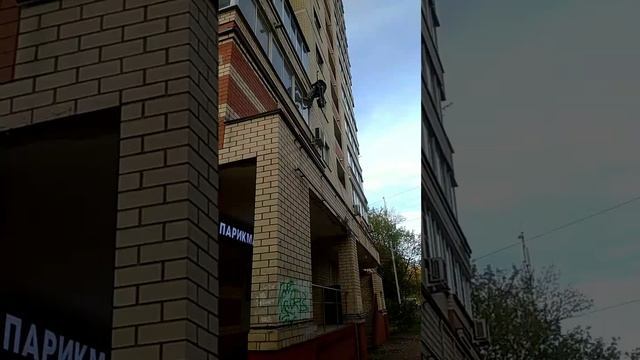 ЧЕЛОВЕК - ПАУК ?????? #shorts #приколы #юмор #туктуктук