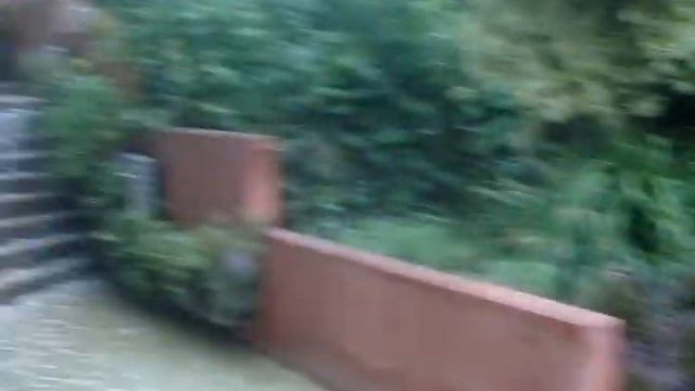 гнездо на голове((( смотреть онлайн