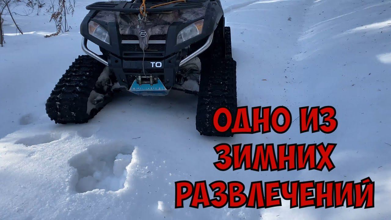 Покатушки на квадрике зимой#леснойскобарь#2024#лес#следы#дикиеживотные #звери#зимнийлес#квадрик