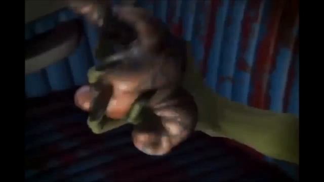 Stubbs The Zombie in Rebel Without a Pulse Trailer(Rare, awesome) смотреть онлайн