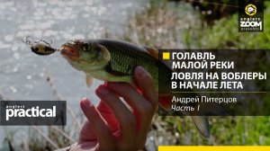 Голавль малой реки. Ловля на воблеры в начале лета.Андрей Питерцов.Anglers Practical