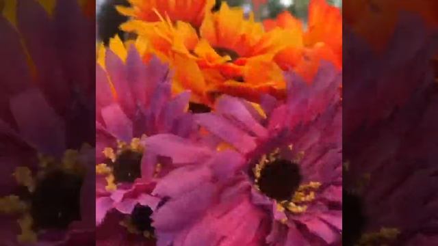 Lily Haberdashery Fall Farmers Market|Craft Fair Display and Setup|Vendor Booth Set Up смотреть онлайн