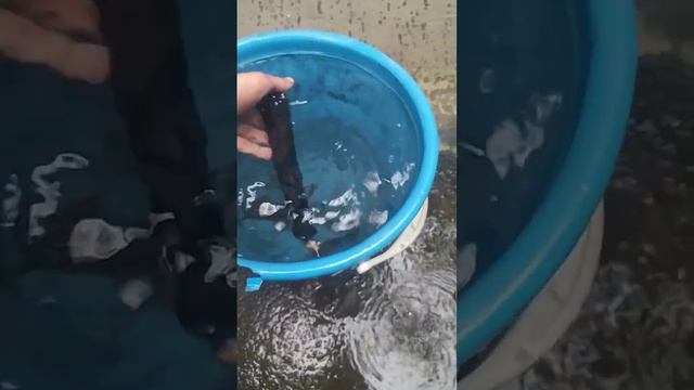 Купил себе новый пинпоинтер смотреть онлайн