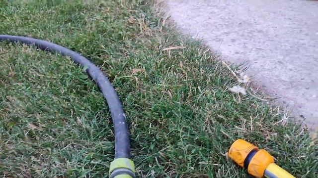 безплатный полив газона смотреть онлайн