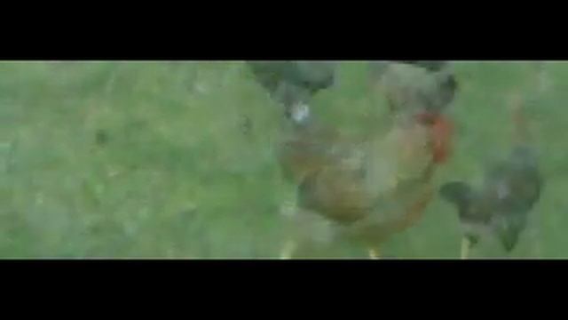 FujiFilm Finepix HS30 Slow Motion смотреть онлайн