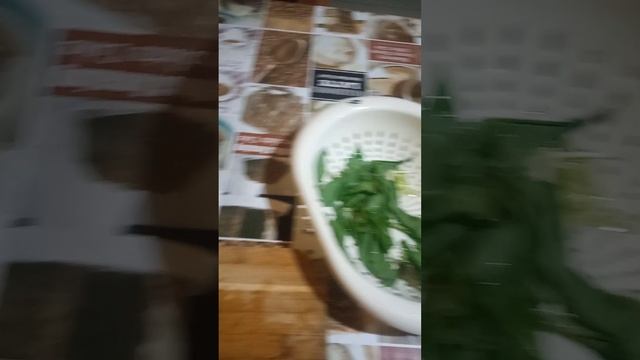 Прогулка в лес