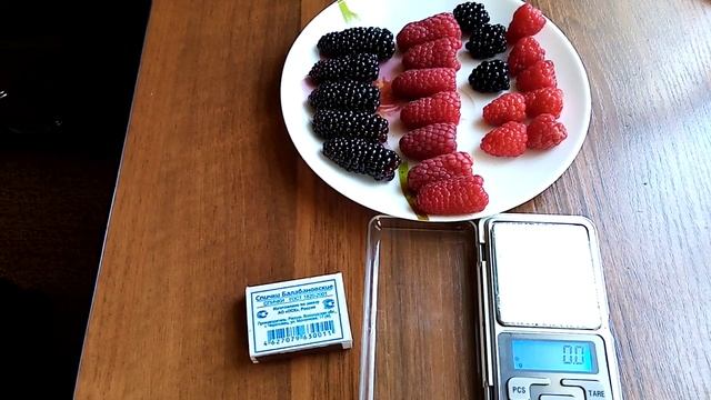 ежевика, малина - вес и размер ягод, сорта карака блек, лох тей, пшехиба, энросадира.