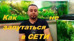 Интернет в помощь аквариумисту. (Архив от 17.09.2022)