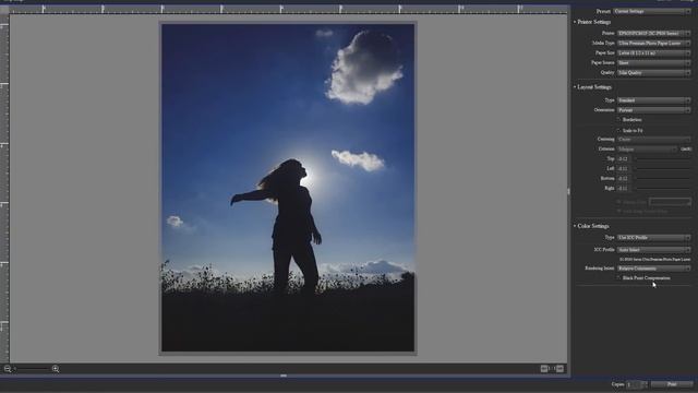 EPSON Print Layout 1.3.3 Photo Printing Software Basic Demo смотреть онлайн