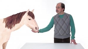 27. Культурные злаки. Часть 3