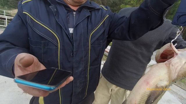 ЛЕЩ на 2,2кг/ Рыбалка на Белоярке/ минута 13:45 смотреть онлайн