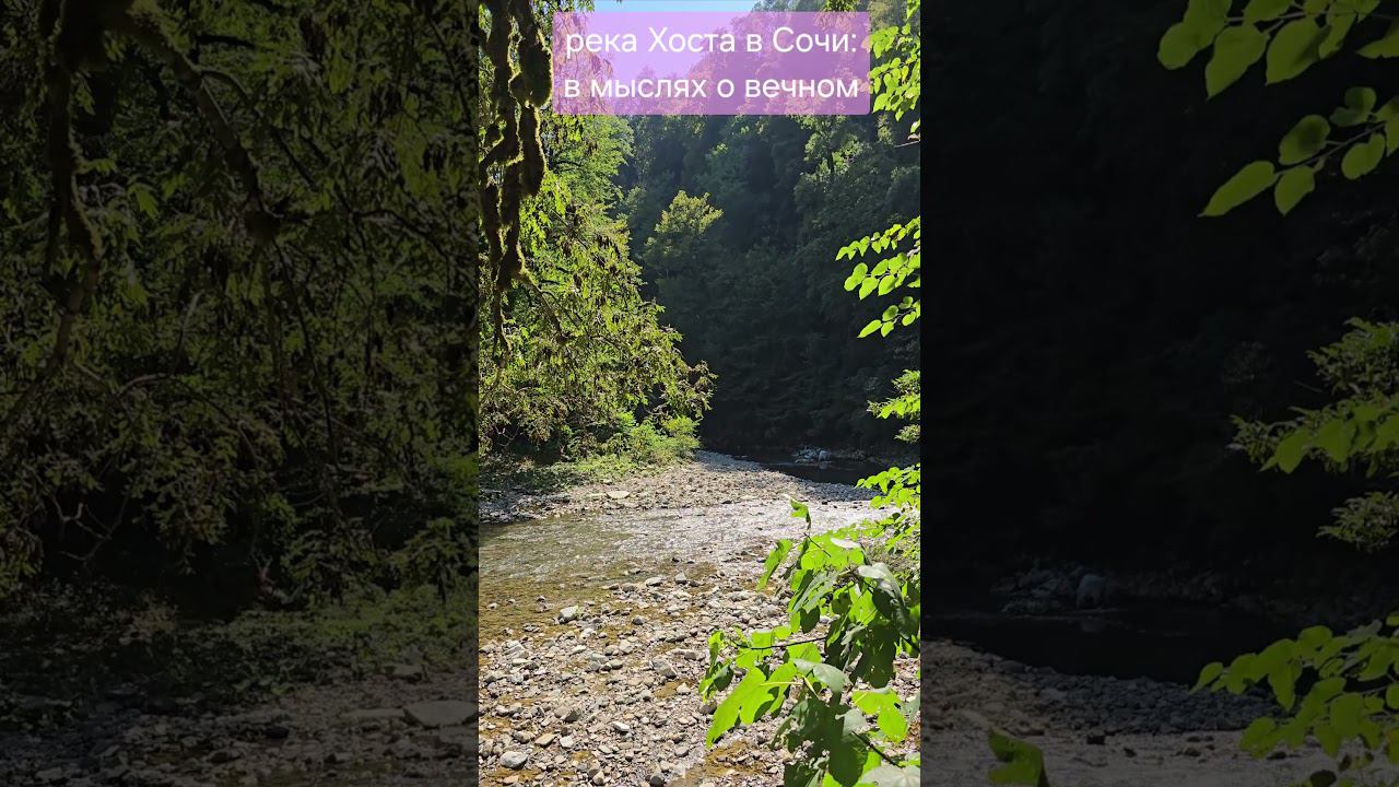 Река Хоста в Сочи. Тисо-самшитовая роща #2024 #лето #zoomonnature смотреть онлайн