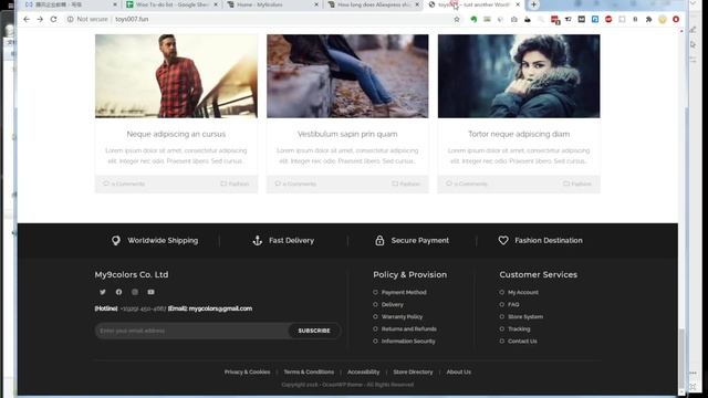 Chapter3：3.How to edit bottom（WordPress+WooCommerce+oceanWP) смотреть онлайн
