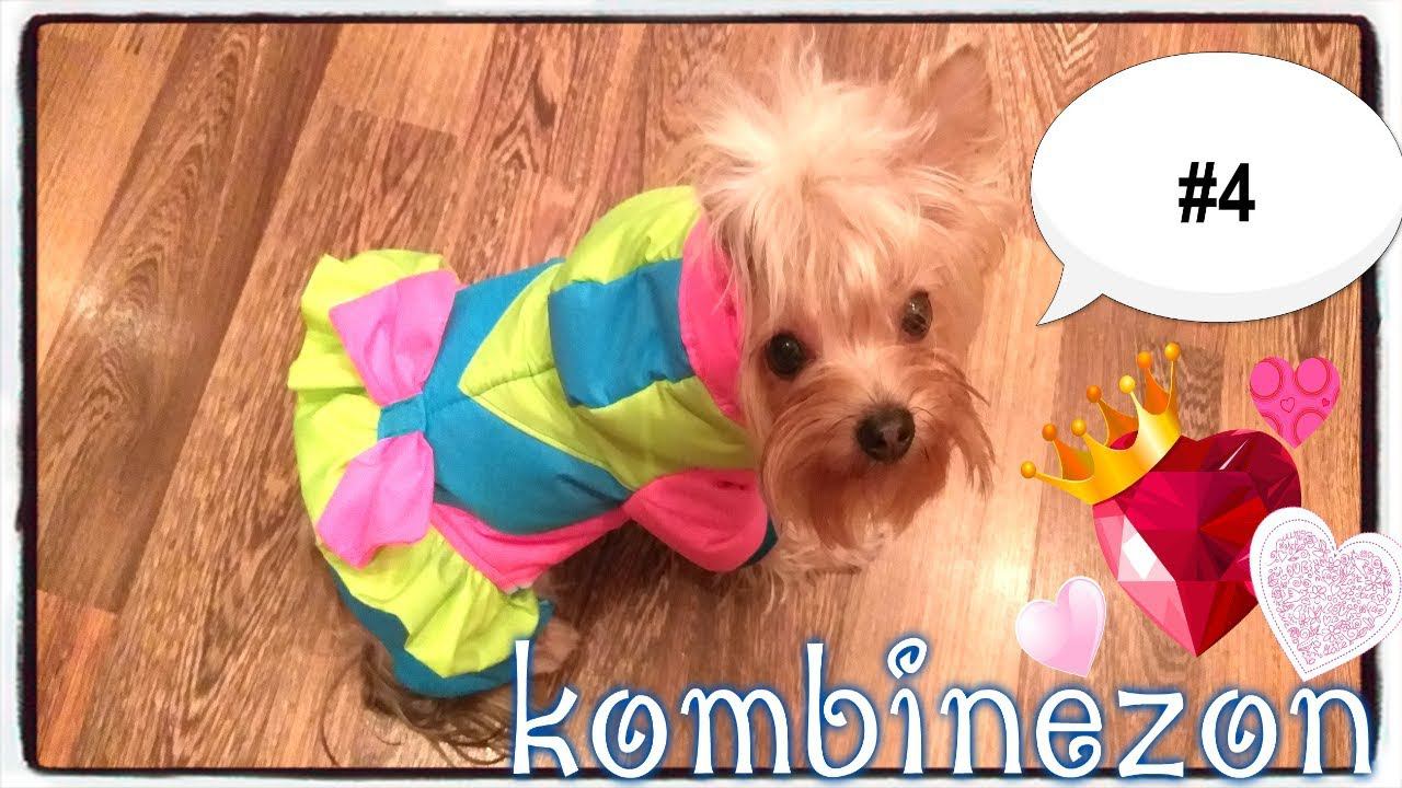 Комбинезон шьем для собак СВОИМИ РУКАМИ. МК. diy ЧАСТЬ 4 смотреть онлайн