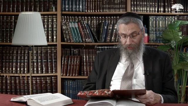 248. Весь гнев изливает глупый, а умный подавляет в себе. Рав Элиезер Ксидо, из цикла «Книга Мишлей смотреть онлайн
