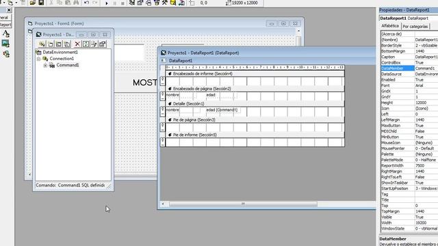 VISUAL BASIC 6.0. 00006. REPORTE CON SQL 03. FILTRADO DE REGISTROS ENTRE DOS VALORES (EDADES) смотреть онлайн