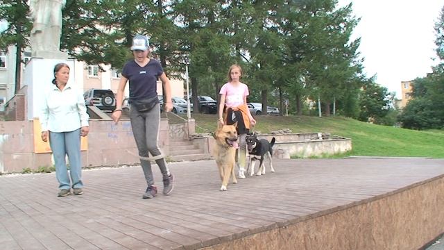 "Мы с Полканом на границе" смотреть онлайн