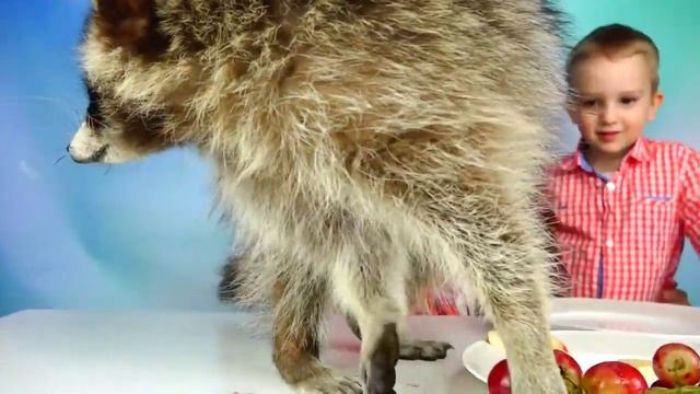 Обычная Еда против Мармелада - Челлендж! Мама ПЛАЧЕТ! Real Food Vs Gummy Food - Candy Challenge