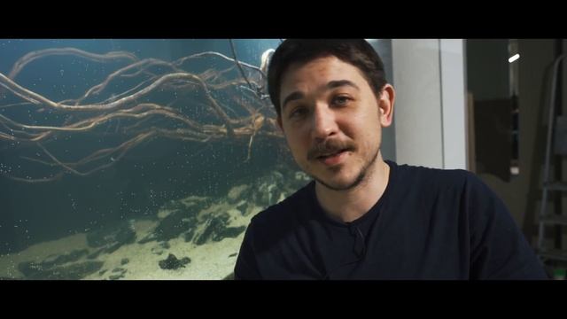 Био_топчик №5. Самп, трубы, фасады, оформление аквариума. смотреть онлайн