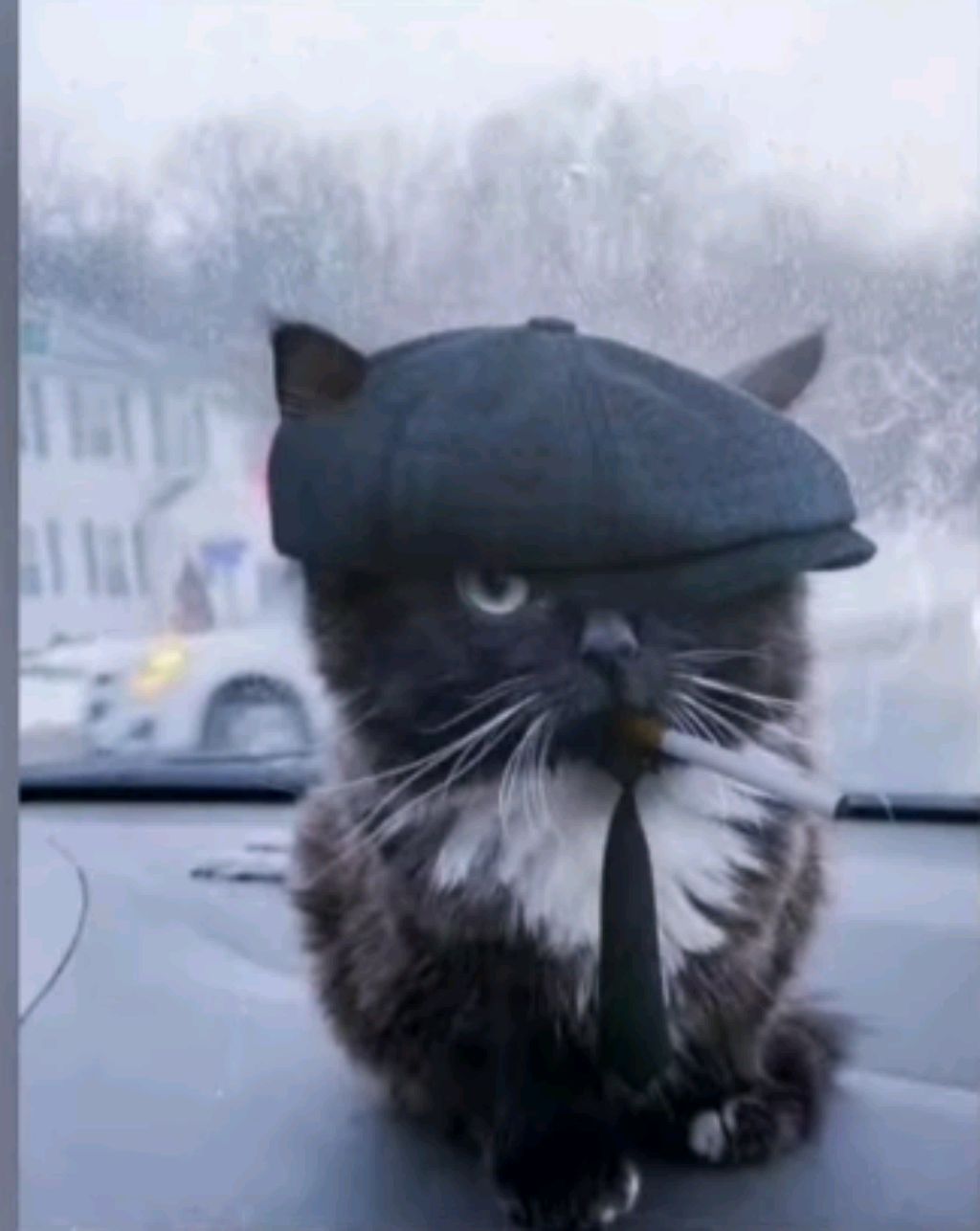 уф смотреть онлайн