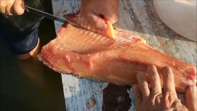 разделка сазана смотреть онлайн