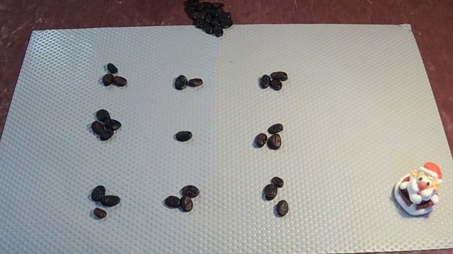 Гадание на бобах. Что нас ждет в 2022 году? смотреть онлайн