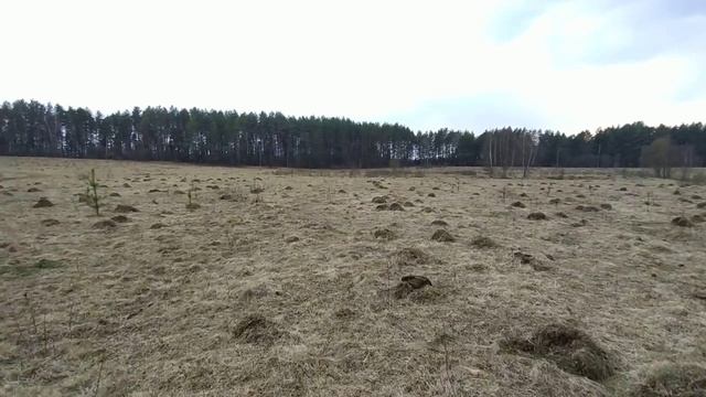 [ПРО] Ответы на вопросы/ Все дорого смотреть онлайн