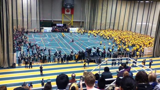 World's Largest Dogeball Game смотреть онлайн