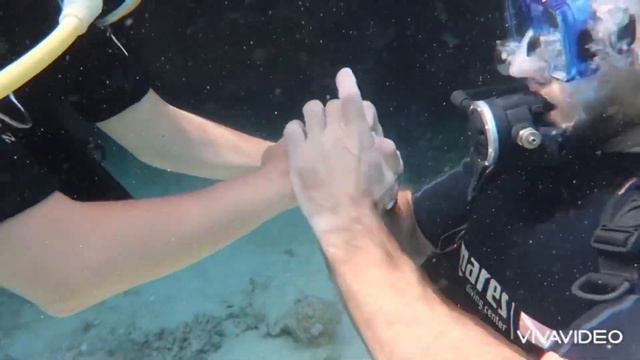 Рычко признание любви на дне красного моря. смотреть онлайн