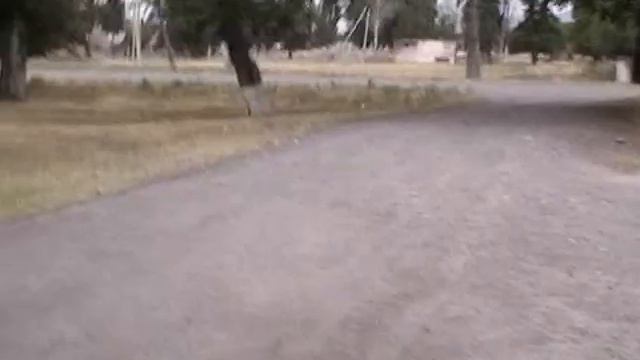 Токмак косевныи и сахрныи смотреть онлайн