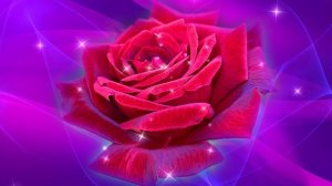 Футаж. Цветочный фон 56