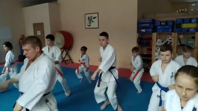 Интенсивный курс для синих поясов «Цвет изменчивости и способности к приспособлению» смотреть онлайн