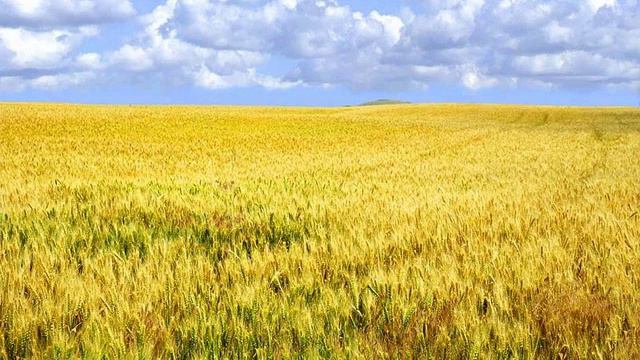 Олег Атаманов - Мой край. смотреть онлайн