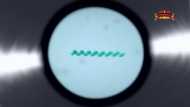 pourtous spiruline смотреть онлайн