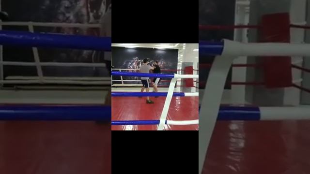 Клуб бокса в центре города Новороссийска