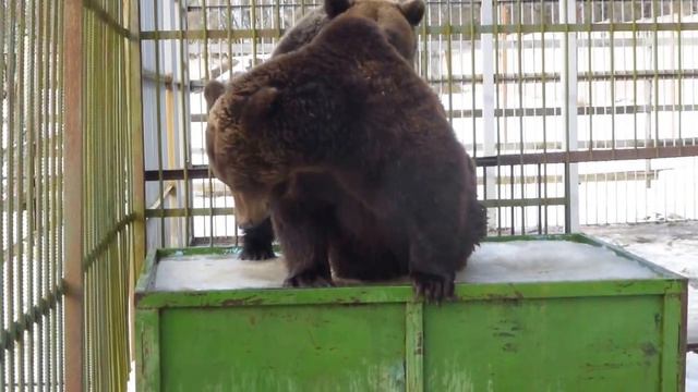 Прекрасная пара смотреть онлайн
