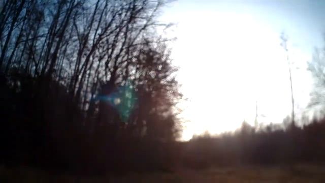 Добыта косуля смотреть онлайн