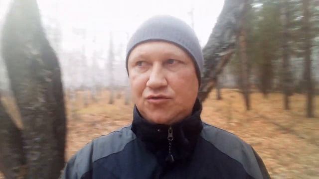 НАВИГАТОР В ЛЕСУ смотреть онлайн