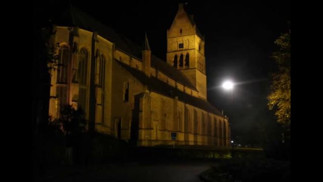 Psalm 142 vers 2 en 7 (samenzang met bovenstem) | Orgel: André Nieuwkoop смотреть онлайн