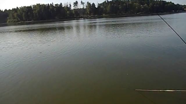 06.09 / РаМеНсКиЙ рЫбХоЗ гЖеЛкА / рЫбАлКа На НаГуЛьНоМ пРуДу смотреть онлайн