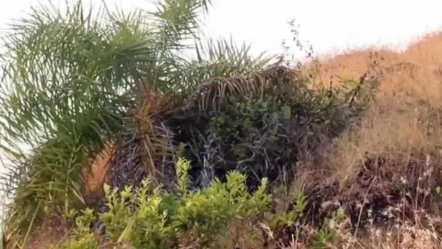 Практика Рэйки потока божественной энергии находящийся внутри нас / Техники Рэйки / Обучение Рэйки