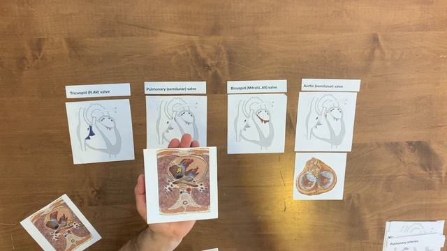 Heart. Paper Puzzle Tutorial смотреть онлайн