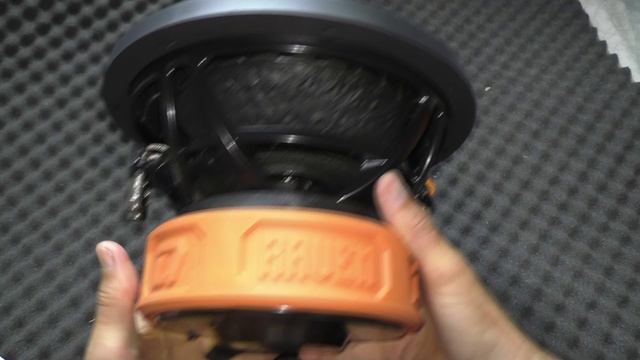 Сабвуфер DL Audio Raven 10 V.2