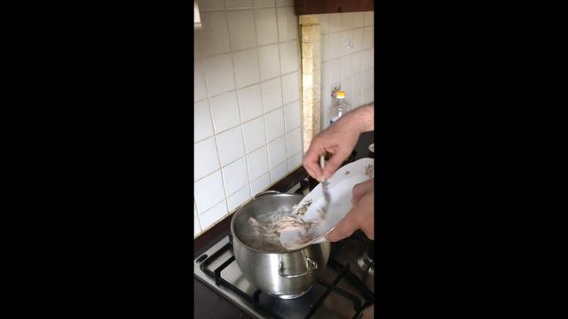 Суп и закуска (в 2-х частях): Часть 1. Щи весенние